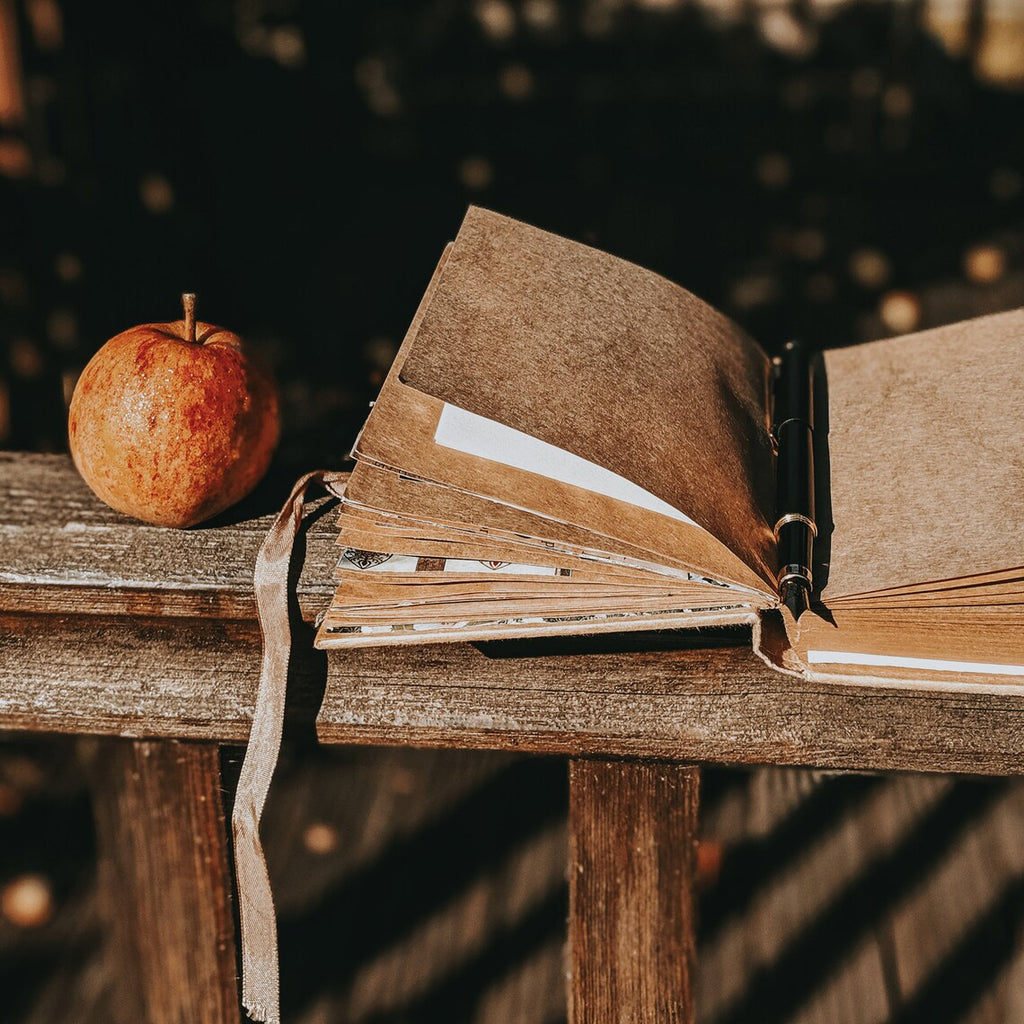 Wild Words: Autumn creative writing course - one month of writing inspiration