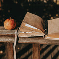 Wild Words: Autumn creative writing course - one month of writing inspiration